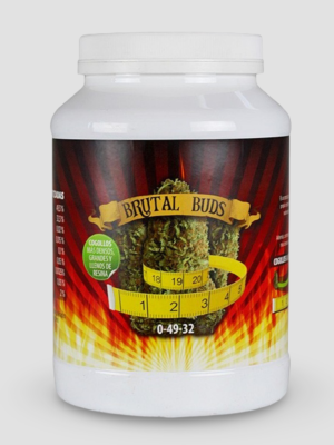 Brutal Buds