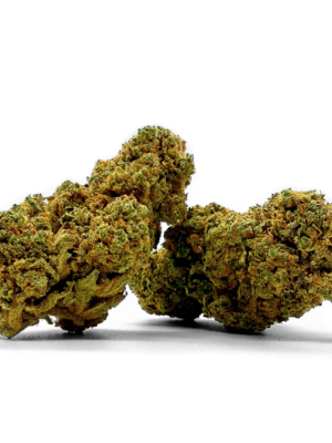 Ver CDB en flor Reina de la Catalana